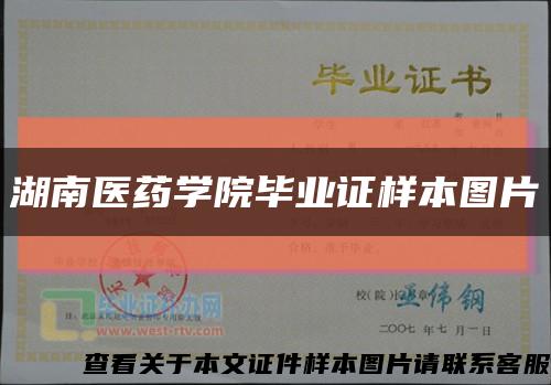 湖南医药学院毕业证样本图片缩略图