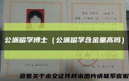 公派留学博士（公派留学含金量高吗）缩略图