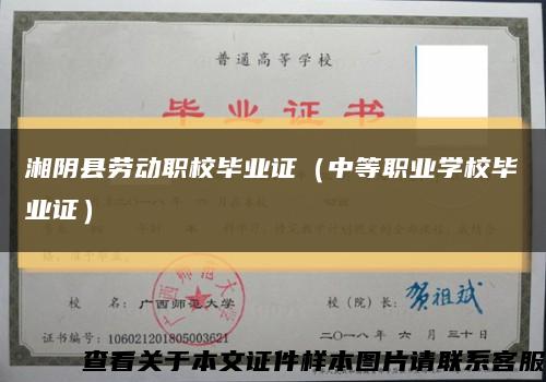 湘阴县劳动职校毕业证（中等职业学校毕业证）缩略图
