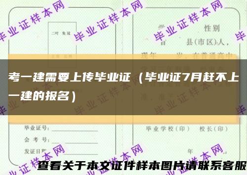 考一建需要上传毕业证（毕业证7月赶不上一建的报名）缩略图