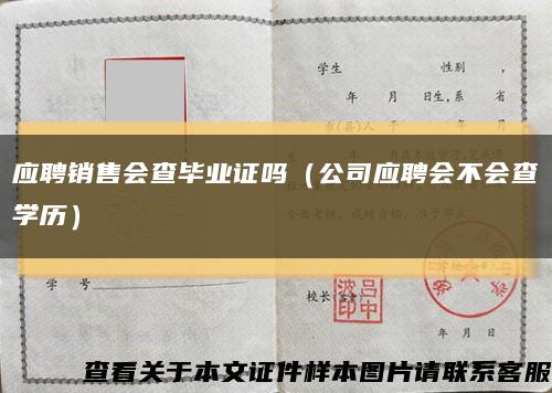 应聘销售会查毕业证吗（公司应聘会不会查学历）缩略图