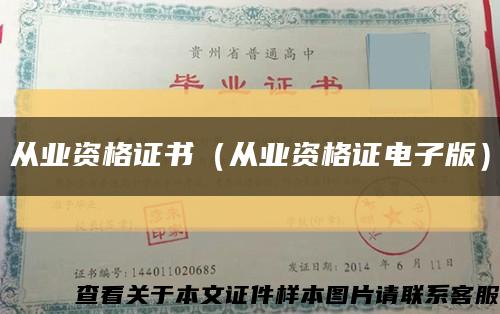 从业资格证书（从业资格证电子版）缩略图