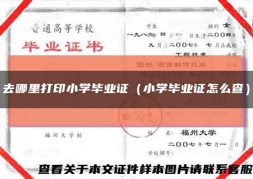 去哪里打印小学毕业证（小学毕业证怎么查）缩略图