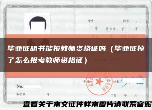 毕业证明书能报教师资格证吗（毕业证掉了怎么报考教师资格证）缩略图