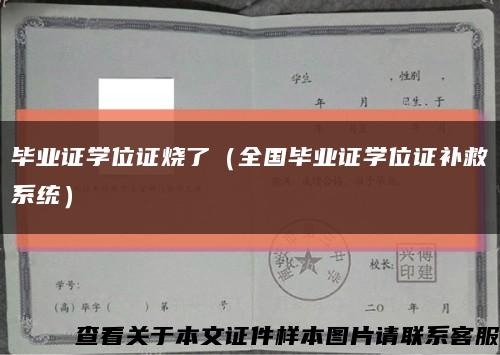 毕业证学位证烧了（全国毕业证学位证补救系统）缩略图