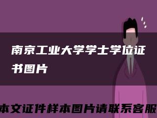 南京工业大学学士学位证书图片缩略图