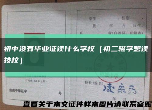 初中没有毕业证读什么学校（初二辍学想读技校）缩略图