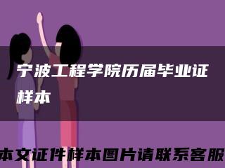 宁波工程学院历届毕业证样本缩略图