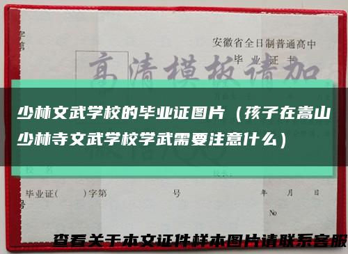 少林文武学校的毕业证图片（孩子在嵩山少林寺文武学校学武需要注意什么）缩略图