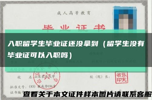 入职留学生毕业证还没拿到（留学生没有毕业证可以入职吗）缩略图