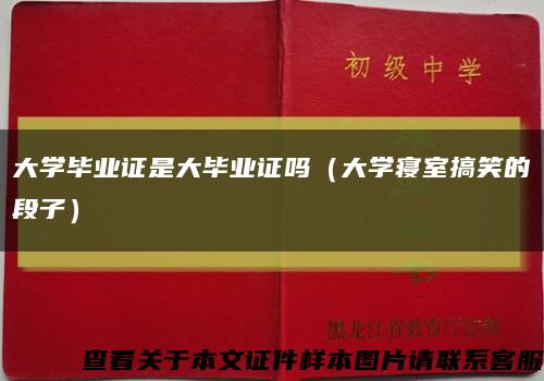 大学毕业证是大毕业证吗（大学寝室搞笑的段子）缩略图