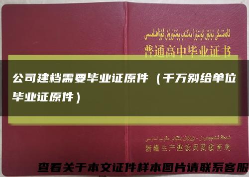 公司建档需要毕业证原件（千万别给单位毕业证原件）缩略图