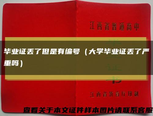 毕业证丢了但是有编号（大学毕业证丢了严重吗）缩略图