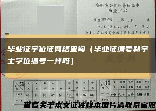 毕业证学位证网络查询（毕业证编号和学士学位编号一样吗）缩略图