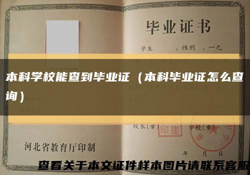 本科学校能查到毕业证（本科毕业证怎么查询）缩略图