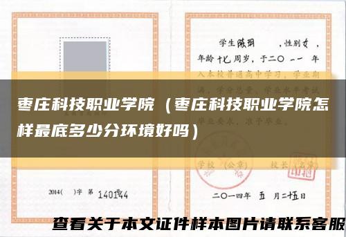 枣庄科技职业学院（枣庄科技职业学院怎样最底多少分环境好吗）缩略图