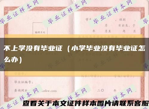 不上学没有毕业证（小学毕业没有毕业证怎么办）缩略图