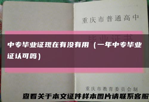 中专毕业证现在有没有用（一年中专毕业证认可吗）缩略图