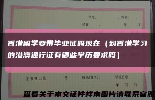 香港留学要带毕业证吗现在（到香港学习的港澳通行证有哪些学历要求吗）缩略图