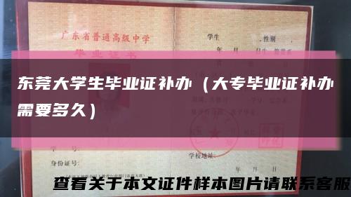 东莞大学生毕业证补办（大专毕业证补办需要多久）缩略图