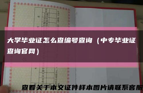 大学毕业证怎么查编号查询（中专毕业证查询官网）缩略图