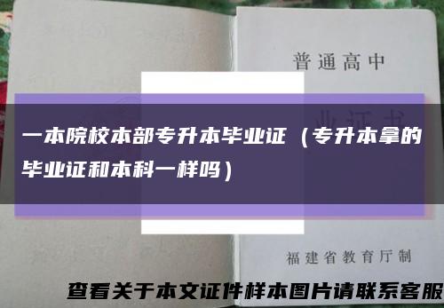 一本院校本部专升本毕业证（专升本拿的毕业证和本科一样吗）缩略图