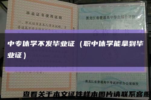 中专休学不发毕业证（职中休学能拿到毕业证）缩略图