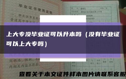 上大专没毕业证可以升本吗（没有毕业证可以上大专吗）缩略图