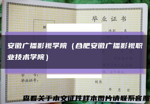 安徽广播影视学院（合肥安徽广播影视职业技术学院）缩略图