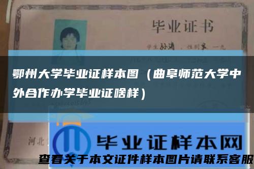 鄂州大学毕业证样本图（曲阜师范大学中外合作办学毕业证啥样）缩略图