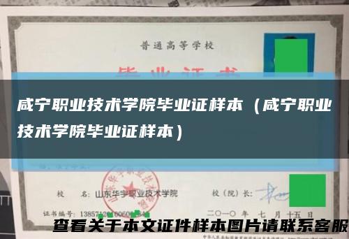 咸宁职业技术学院毕业证样本（咸宁职业技术学院毕业证样本）缩略图