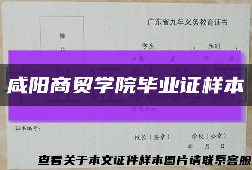 咸阳商贸学院毕业证样本缩略图