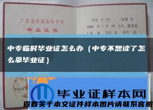 中专临时毕业证怎么办（中专不想读了怎么拿毕业证）缩略图