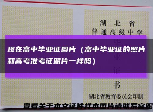 现在高中毕业证图片（高中毕业证的照片和高考准考证照片一样吗）缩略图