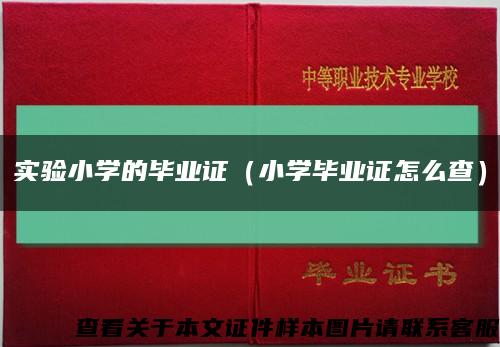 实验小学的毕业证（小学毕业证怎么查）缩略图