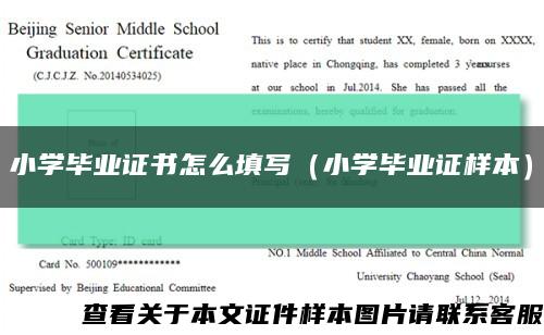 小学毕业证书怎么填写（小学毕业证样本）缩略图