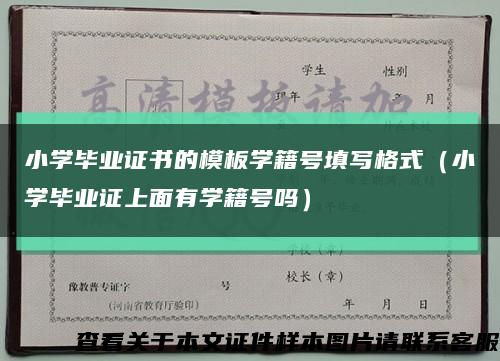 小学毕业证书的模板学籍号填写格式（小学毕业证上面有学籍号吗）缩略图