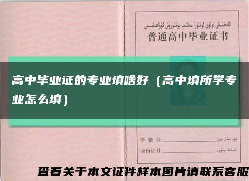 高中毕业证的专业填啥好（高中填所学专业怎么填）缩略图