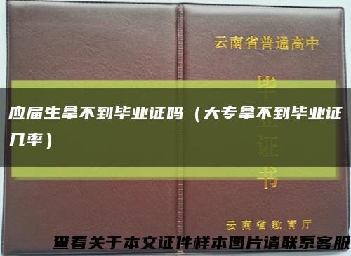 应届生拿不到毕业证吗（大专拿不到毕业证几率）缩略图