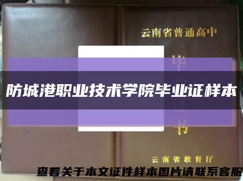 防城港职业技术学院毕业证样本缩略图