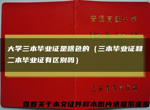 大学三本毕业证是啥色的（三本毕业证和二本毕业证有区别吗）缩略图