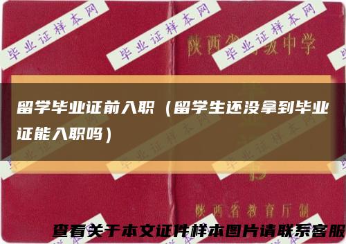 留学毕业证前入职（留学生还没拿到毕业证能入职吗）缩略图