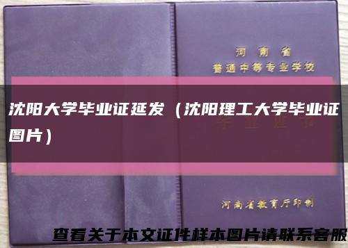 沈阳大学毕业证延发（沈阳理工大学毕业证图片）缩略图