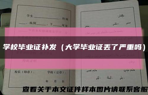 学校毕业证补发（大学毕业证丢了严重吗）缩略图