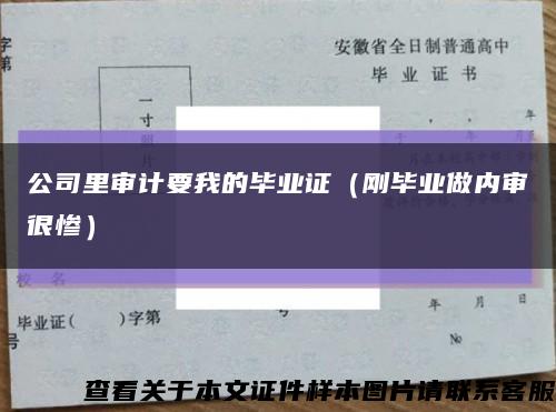 公司里审计要我的毕业证（刚毕业做内审很惨）缩略图