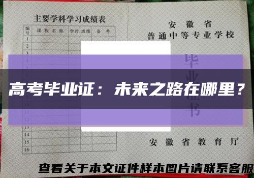 高考毕业证：未来之路在哪里？缩略图