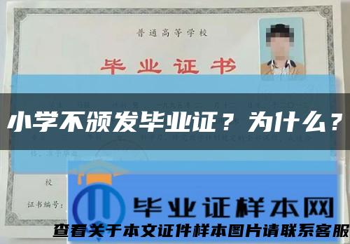 小学不颁发毕业证？为什么？缩略图