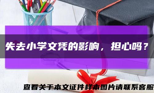 失去小学文凭的影响，担心吗？缩略图