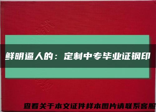 鲜明逼人的：定制中专毕业证钢印缩略图