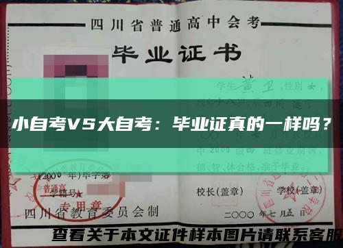 小自考VS大自考：毕业证真的一样吗？缩略图